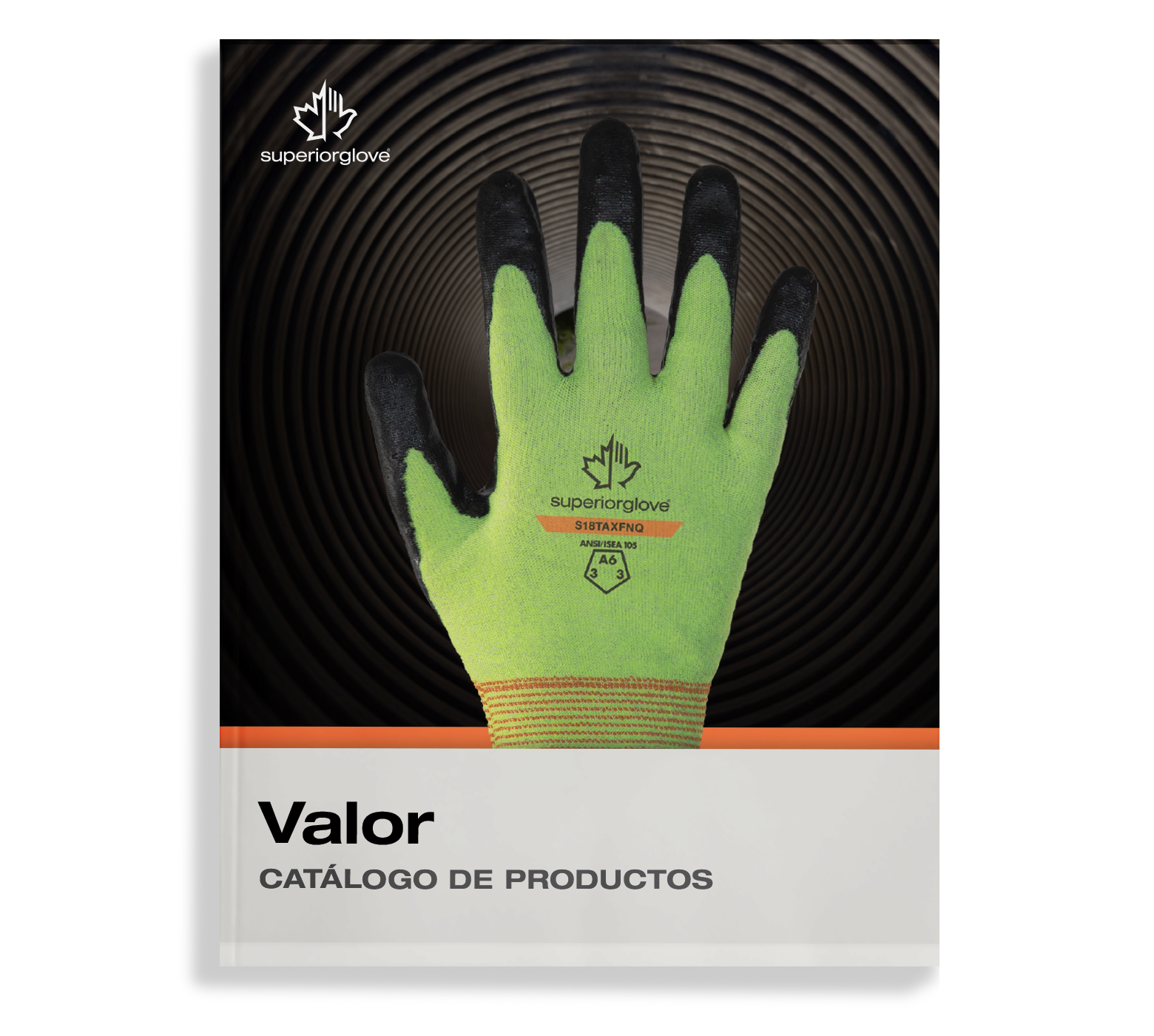 Whats-New-Catalog-January-2026-ES