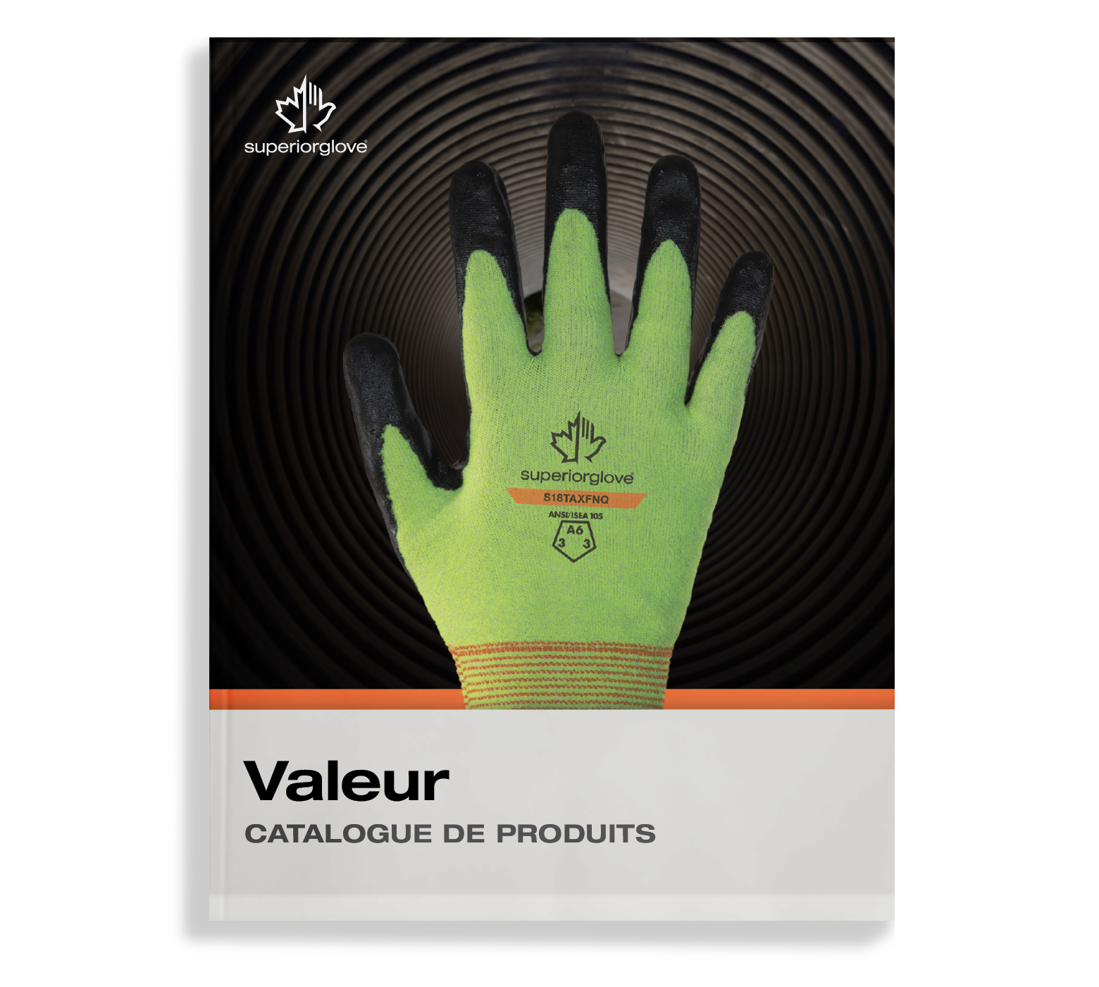 Whats-New-Catalog-January-2026-FR