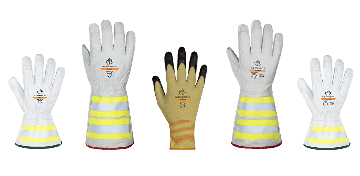 June-2026-Product-Banner